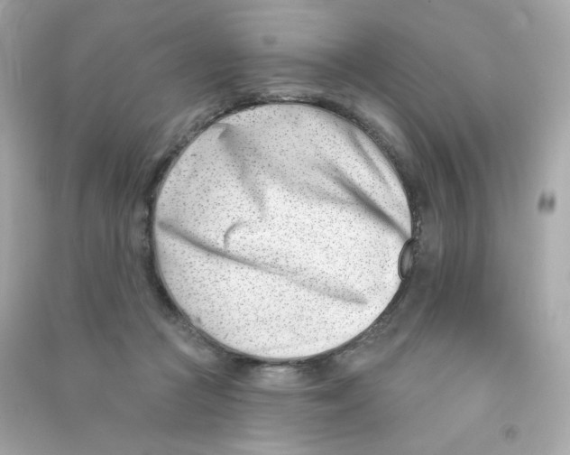 X0000090420361200708101948
