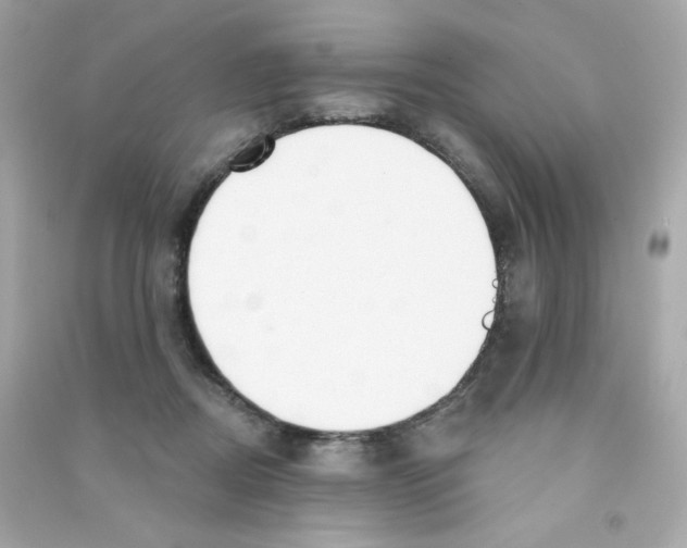 X0000090420362200708101948