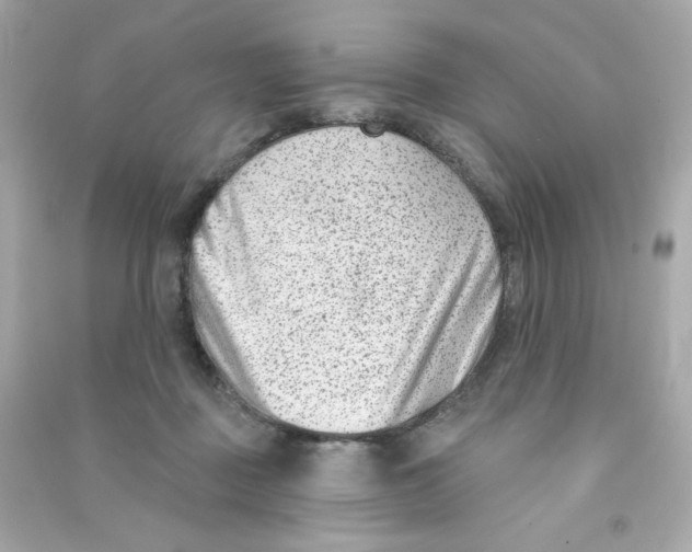X0000090420363200708101948