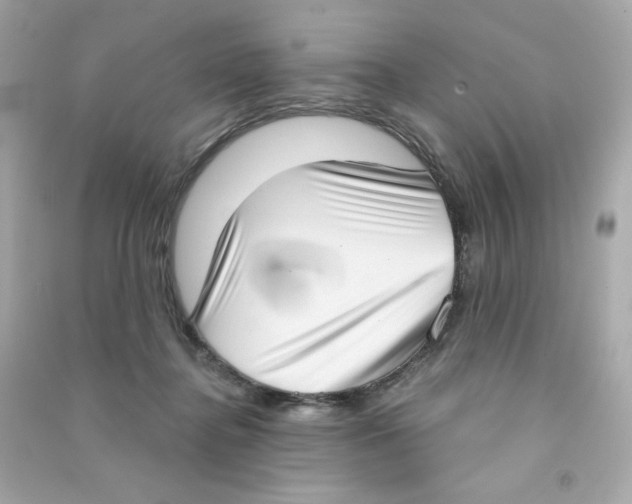 X0000090420364200708101948