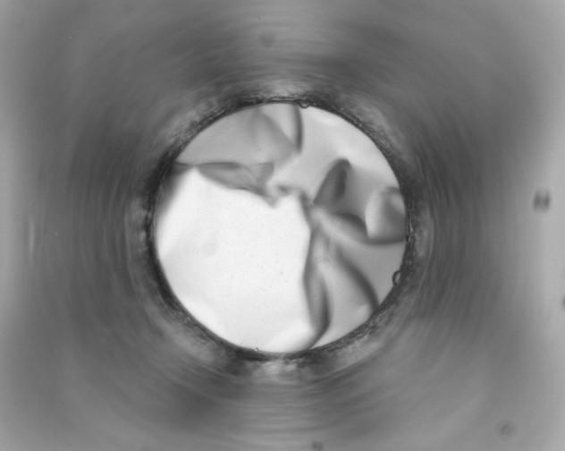 X0000090420366200708101948