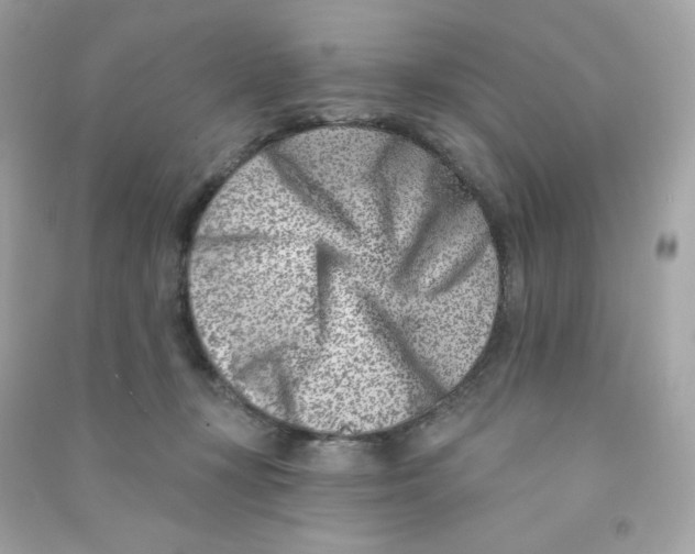 X0000090420367200708101948