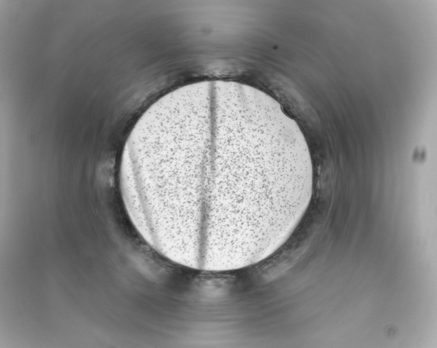 X0000090420368200708101948