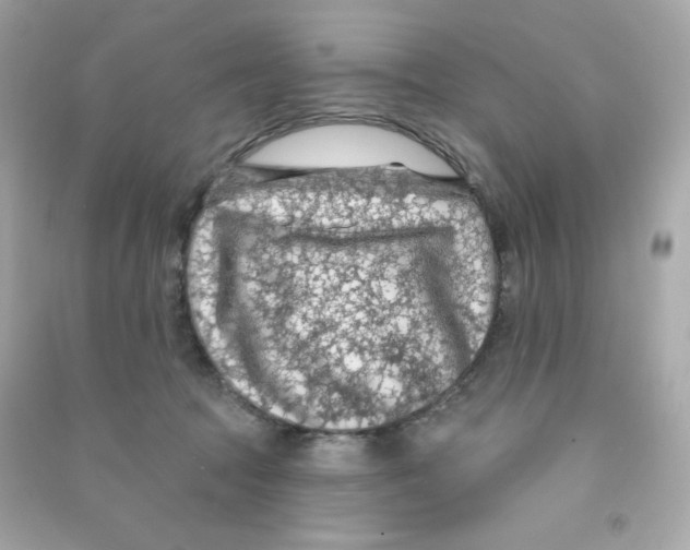X0000090420369200708101948