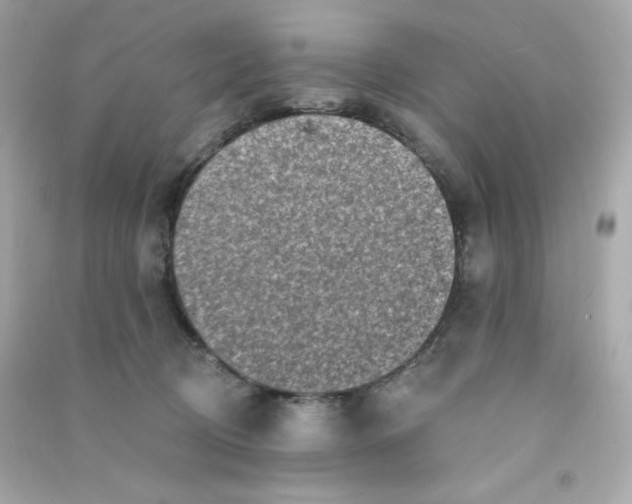 X0000090420370200708101948