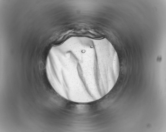 X0000090420371200708101948