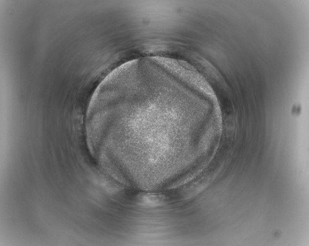 X0000090420372200708101948