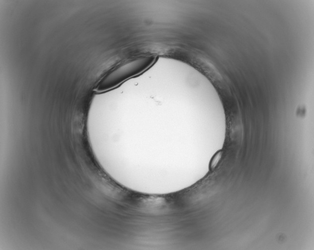 X0000090420374200708101948