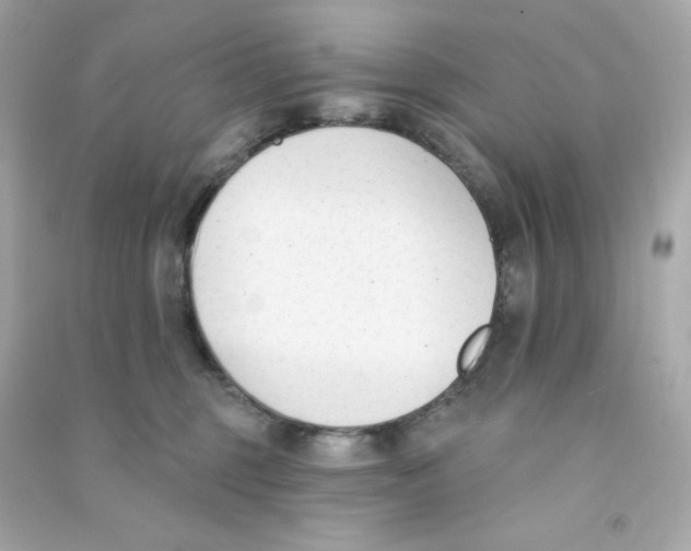 X0000090420375200708101948