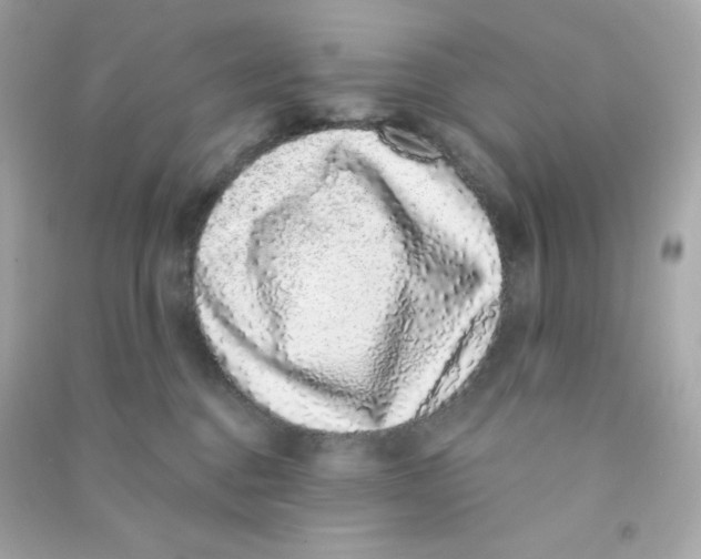X0000090420376200708101948