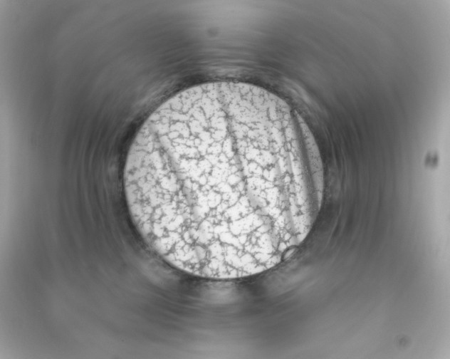 X0000090420377200708101948