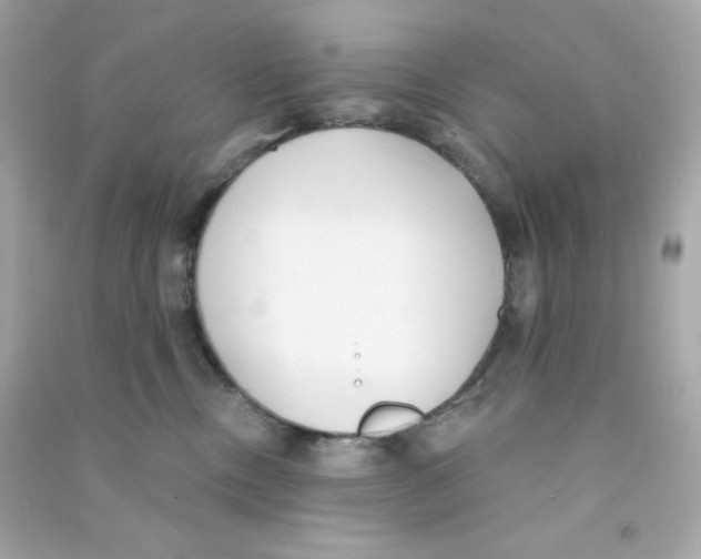 X0000090420378200708101948