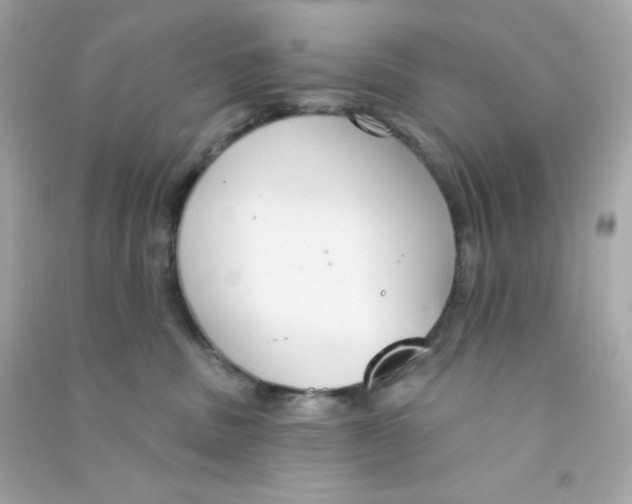 X0000090420379200708101948