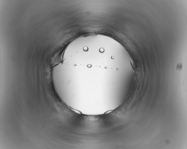 X0000090420380200708101948