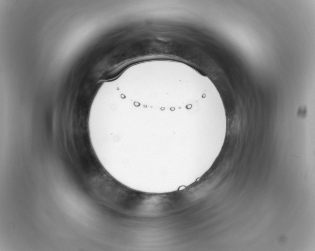 X0000090420382200708101948