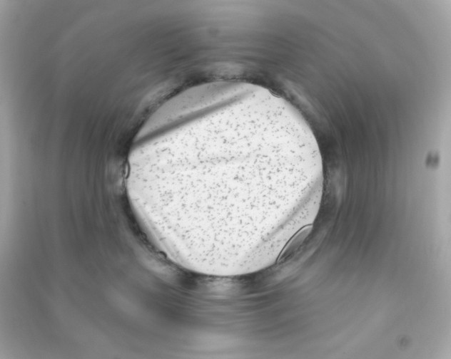 X0000090420383200708101948