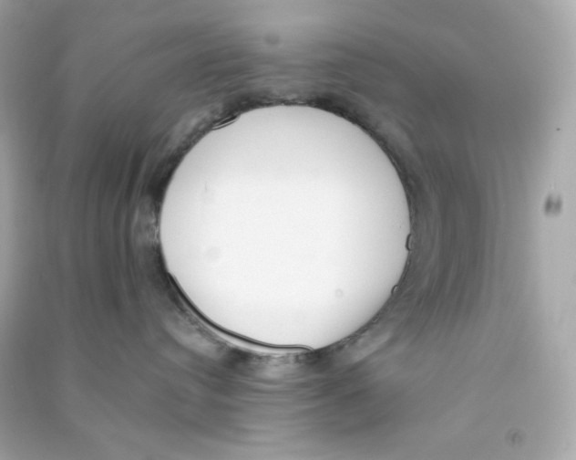 X0000090420384200708101948