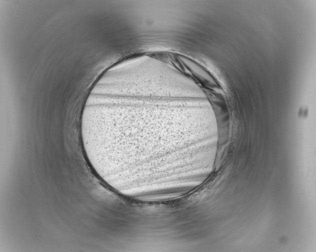 X0000090420385200708101947
