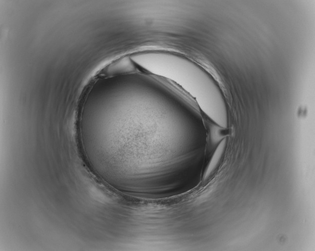 X0000090420387200708101947