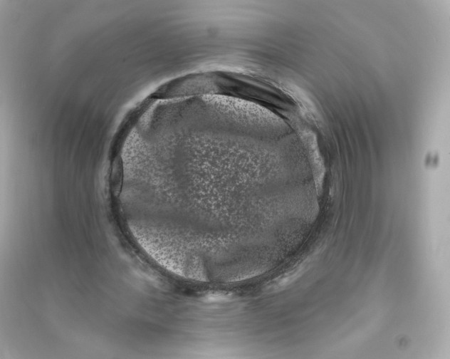 X0000090420388200708101947