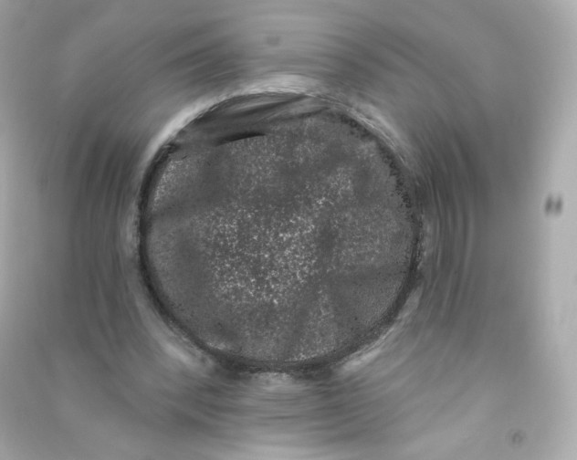 X0000090420392200708101947