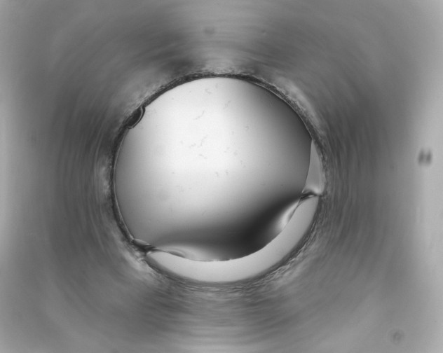 X0000090420393200708101947