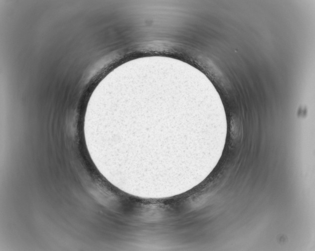 X0000090420396200708101947