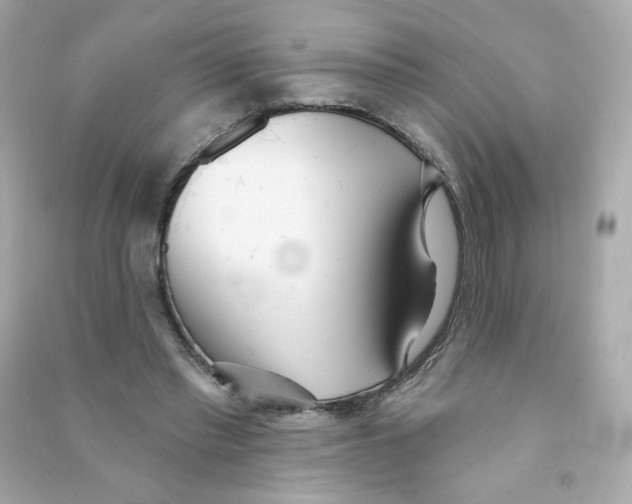X0000090420397200708101947