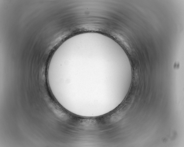 X0000090420398200708101947