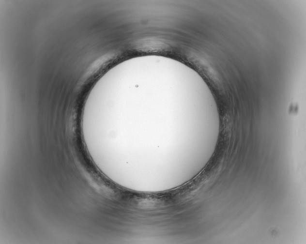 X0000090420400200708101947