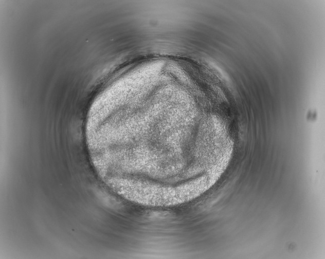 X0000090420401200708101947
