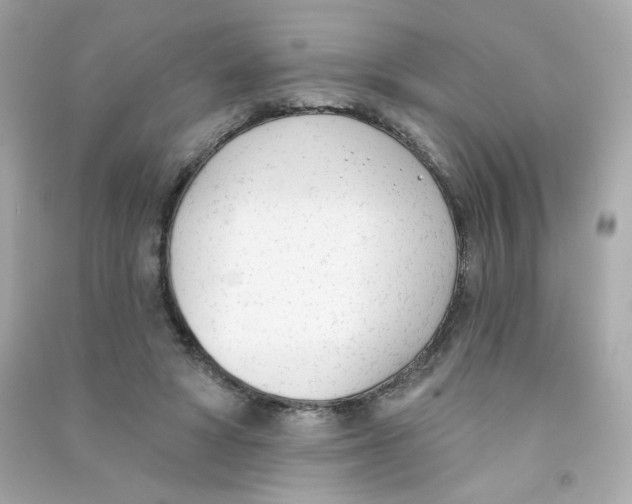 X0000090420402200708101947