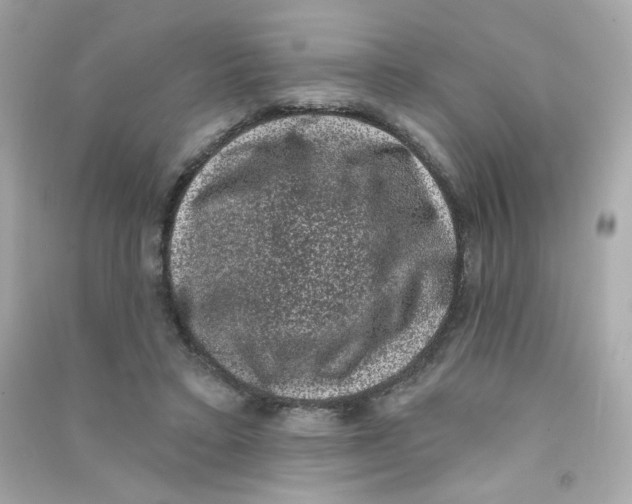 X0000090420403200708101947