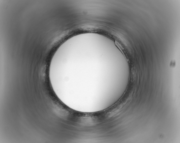 X0000090420404200708101947