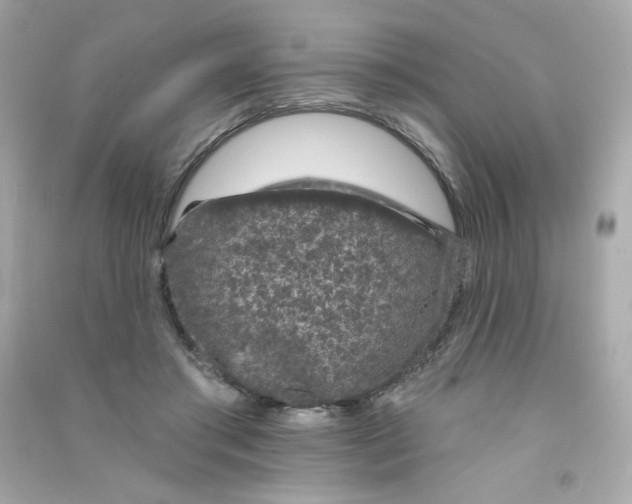 X0000090420405200708101947