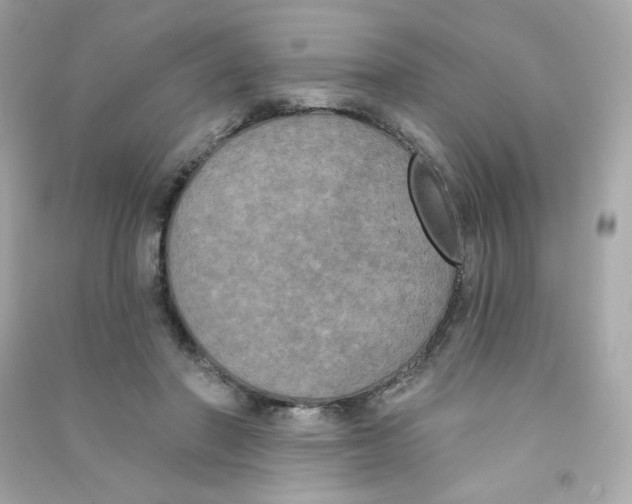 X0000090420406200708101947