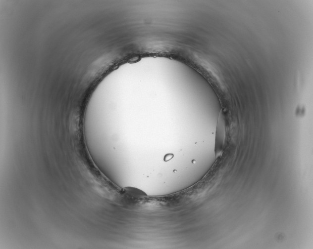 X0000090420407200708101947