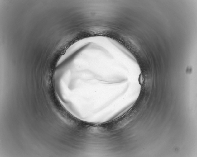 X0000090420408200708101947