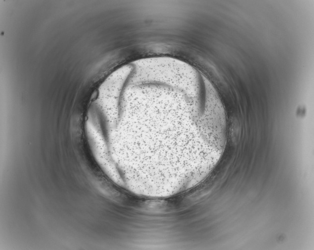 X0000090420410200708101947