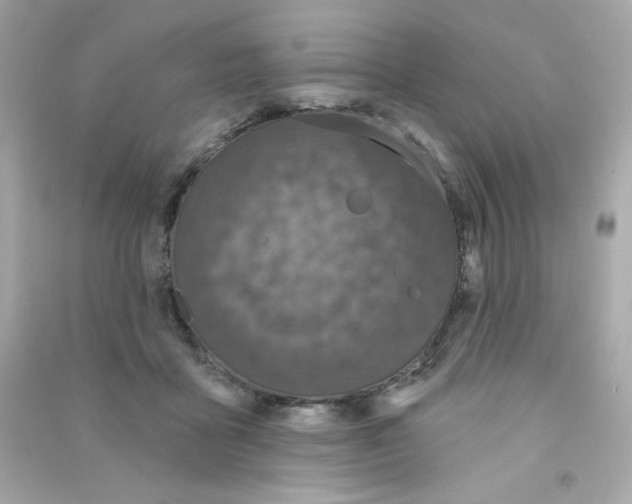 X0000090420411200708101947