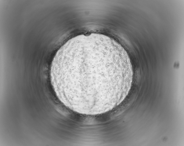 X0000090420413200708101947