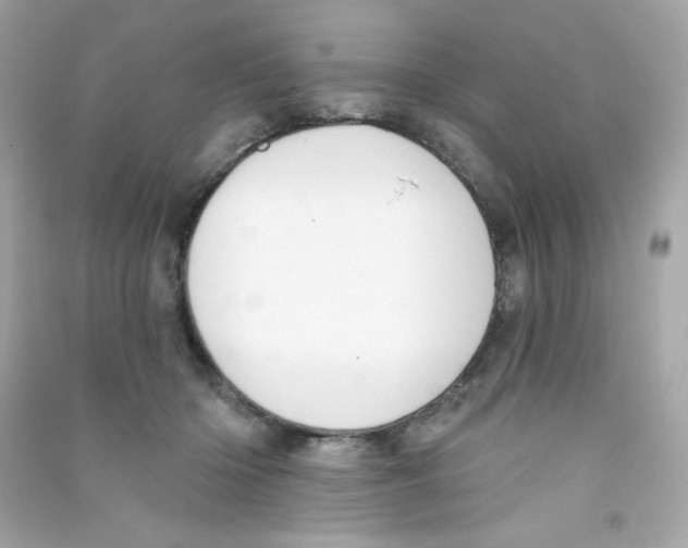 X0000090420414200708101947