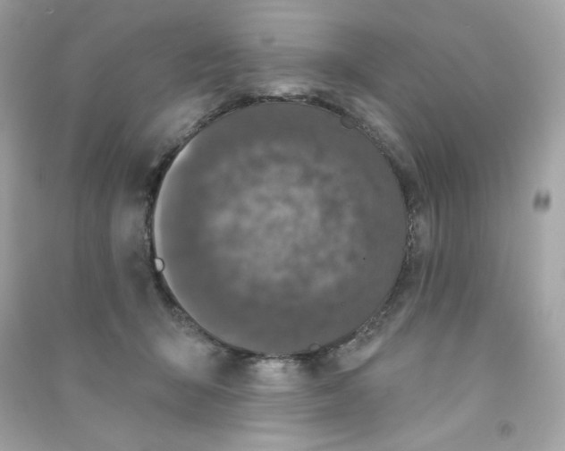 X0000090420415200708101947