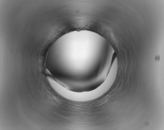 X0000090420416200708101947
