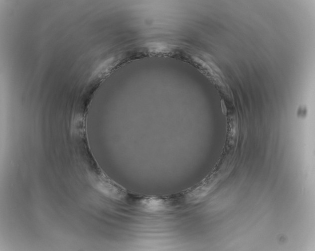 X0000090420419200708101947