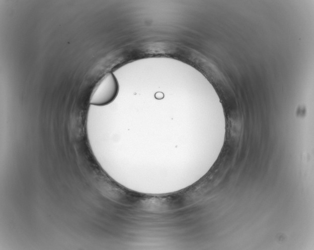 X0000090420422200708101947