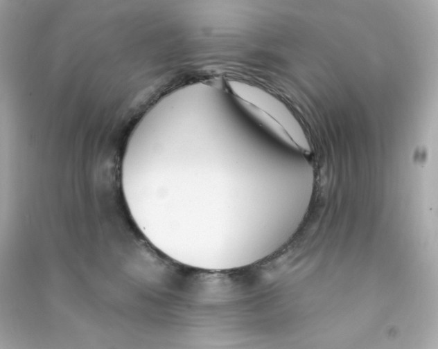 X0000090420424200708101947