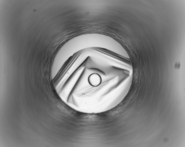 X0000090420428200708101946