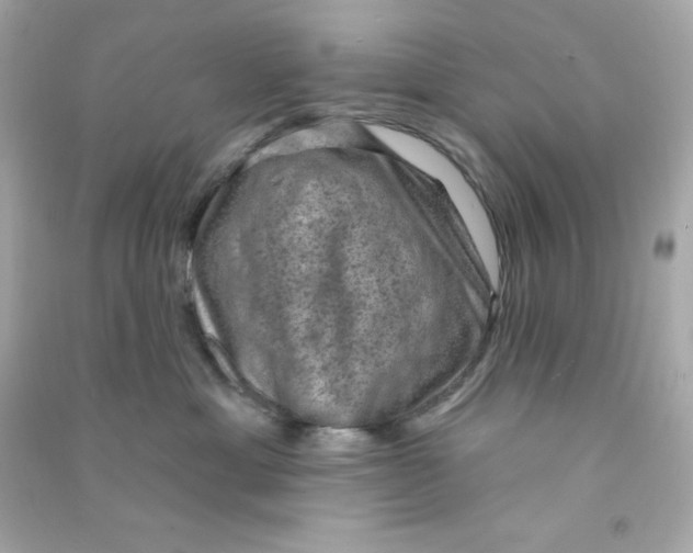 X0000090420429200708101946