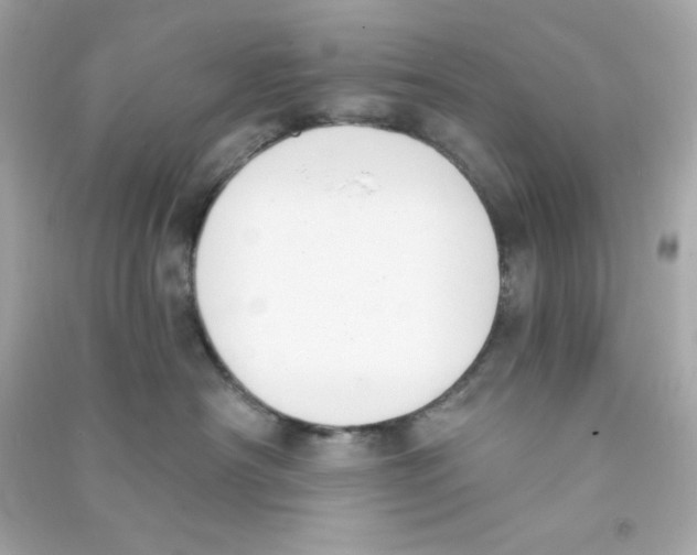X0000090420430200708101946